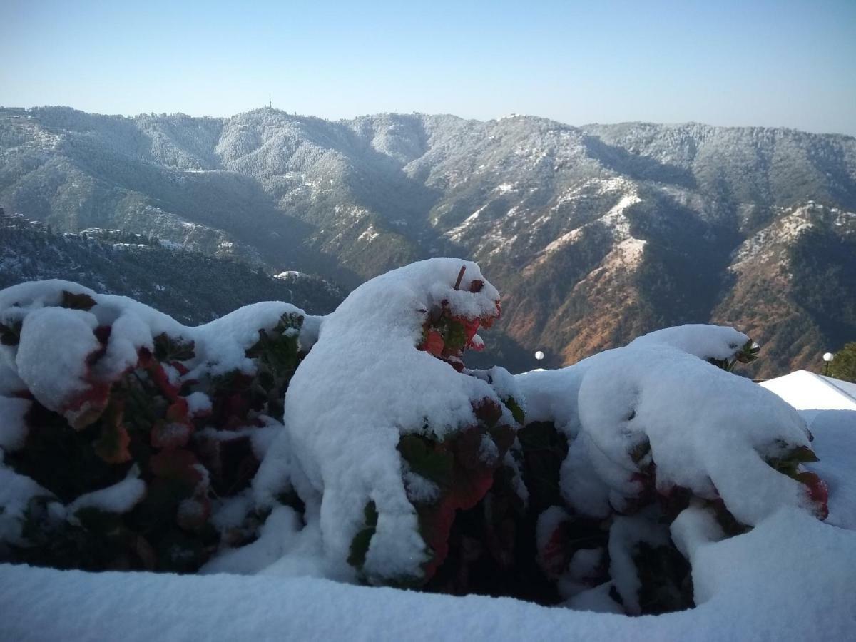 Spangle Heights Shimla, Suites And Residences 외부 사진